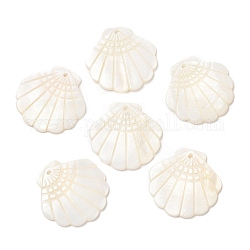 Natural Freshwater Shell Pendants, Shell Shaped Charms, Seashell Color, 28.5x29.5x2mm, Hole: 1.6mm