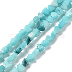 Chapelets de perles en calcite naturelle, teinte, triangle, cyan, 5.5x6x3.5mm, Trou: 0.8mm, Environ 81 pcs/chapelet, 15.94 pouce (40.5 cm)