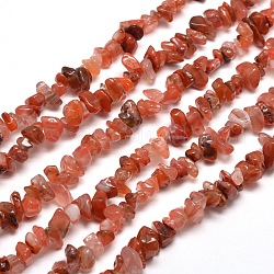 Puce agate rouge sud naturelle chapelets de perles, 5~8x5~8mm, Trou: 1mm, environ 31.5 pouce