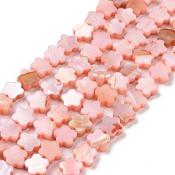 Eau douce naturelle de coquillage perles brins, teinte, fleur, Saumon, 8x8x3mm, Trou: 0.8mm, Environ 52 pcs/chapelet, 15.16'' (38.5 cm)