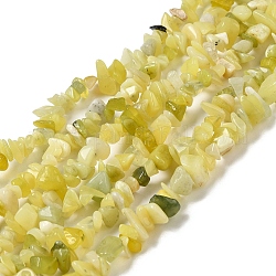 Natural de limón hebras chip de grano del jade, 5~8x5~8mm, agujero: 1 mm, alrededor de 31.5 pulgada