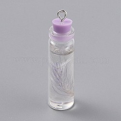 Decoraciones colgantes de botella de vidrio transparente, con pluma en el interior y tapón de plástico, ciruela, 41x11mm, agujero: 2 mm
