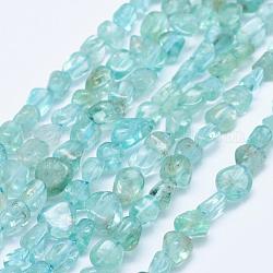 Chapelets de perles en apatite naturelle, pépites, bleu, 5~11x5~7mm, Trou: 1mm, 15.3 pouce ~ 15.7 pouces (39~40 cm)