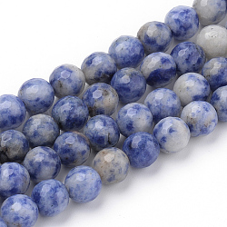 Fili di perle di diaspro macchia blu naturale, tondo, 12~12.5mm, Foro: 1.5 mm, circa 31~33pcs/filo, 14.9~15.1 pollice (38~38.5 cm)
