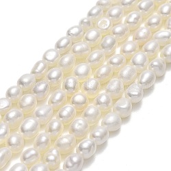 Hebras de perlas de agua dulce cultivadas naturales, dos lados pulidos, lino, 5~5.5x3.8~4.2mm, agujero: 0.6 mm, aproximamente 67~68 pcs / cadena, 14.57'' (37 cm)
