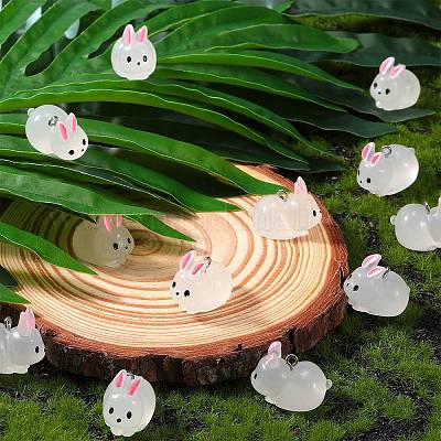 30 шт. светящиеся полупрозрачные подвески из смолы RESI-SZ0003-34-1