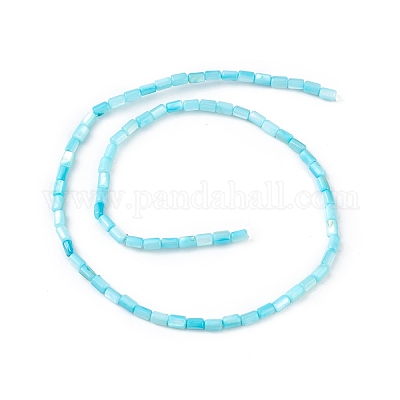 Натуральные пресноводные окрашенные бусы из ракушек SHEL-M018-12-05-1