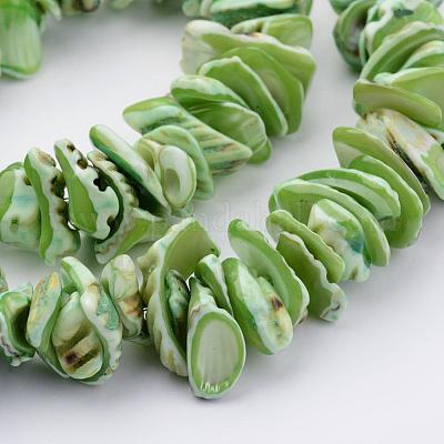 Chapelets de perles en coquillage naturel&nbsp;BSHE-P010-05-1