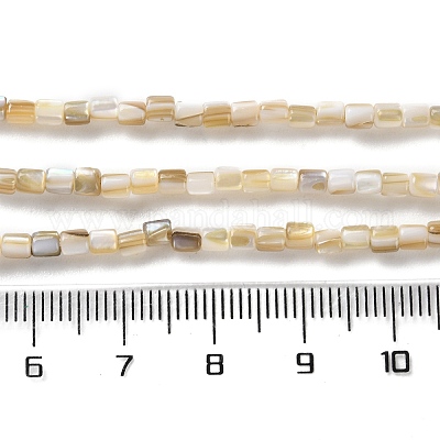 Нити бусин из натуральных пресноводных ракушек SSHEL-B002-17-1