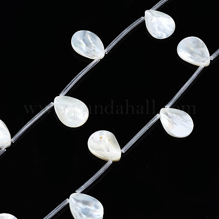 Eau douce naturelle de coquillage perles brins SHEL-N026-153A-01-1