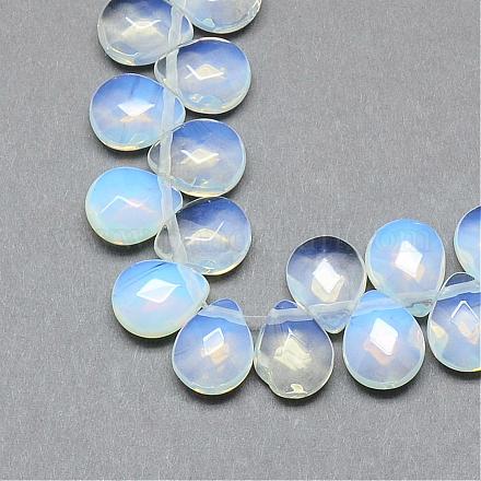 Chapelets de perles d'opalite G-T006-14-1