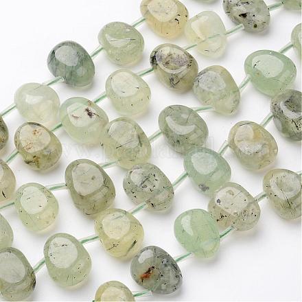 Chapelets de perles en préhnite naturelle G-D827-06-1