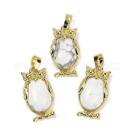 Натуральная подвеска Howlite KK-F887-02G-06-1