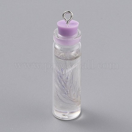 Прозрачные стеклянные бутылки подвесные украшения EGLA-B002-01E-1