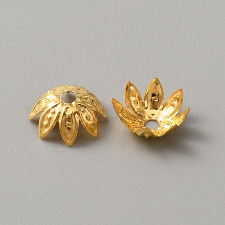 Железный шарик крышки&nbsp;LS-IFIN-WH0073-08B-G-1