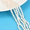 Natural Cultured Freshwater Pearl Beads Strands, Two Sides Polished, Grade 3A, Seashell Color, 3~4mm, Hole: 0.6mm, about 95~102pcs/strand, 14.17~14.33''(36~36.4cm)