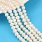 Natural Cultured Pearl Beads Strands, Potato, Grade 3A+, Seashell Color, 5~5.5mm, Hole: 0.7mm, about 66~67pcs/strand, 13.58~13.66 inch(34.5~34.7cm)