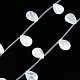 Eau douce naturelle de coquillage perles brins SHEL-N026-153A-01-1