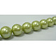 Polished Shell Pearl Round Beads Strands SP12MM645-2