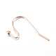Crochets de boucles d'oreilles en fer IFIN-T001-05KC-2