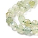 Natural Prehnite Beads Strands G-K323-18-4