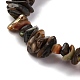 Природные пауа бусы нити BSHE-B007-05-3