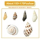 Perles de coquillage en spirale naturelle SSHEL-YW0001-02-2