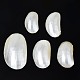 Natural Conch Shell Cabochons SSHEL-N034-91-2