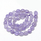 Natural Amethyst Beads Strands G-R445-8x10-23-2