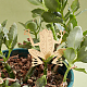 Etichette per piante in ottone vuote AJEW-WH0500-003-4