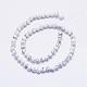 Synthetic Howlite Bead Strands G-F425-37-6mm-2
