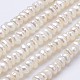 Natural Cultured Freshwater Pearl Beads Strands PEAR-F004-64-1