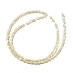 Brins de perles de coquillages naturels de troca SSHEL-H072-02B-2