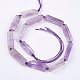Natural Amethyst Beads Strands G-F438-06-2