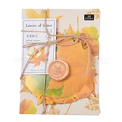 50 шт. бумажные наклейки с изображением кленового листа STIC-P017-C02