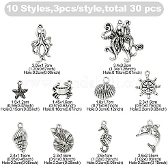 30шт 10 стиля подвески из сплава в тибетском стиле&nbsp;FIND-YW0007-08