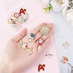 24 шт. 12 подвески из сплава и эмали в школьной тематике&nbsp;FIND-SC0004-12