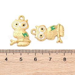 Подвески из нержавеющей стали 304 с эмалью&nbsp;STAS-B085-23G