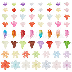 230pcs 6 Arten transparente Acrylperlen&nbsp;OACR-TA0004-39