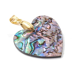 Natur Paua Muschel Anhänger&nbsp;PALLOY-JF05226-01