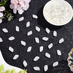 100 шт. Абс пластик имитация жемчуга бусины OACR-LT0001-08