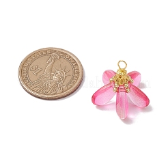 Окрашенные стеклянные подвески PALLOY-MZ00658-03