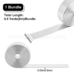 柔らかい平らな合成皮革コード  枕の装飾用  銀  25x0.8mm  約5.47ヤード（5m）/バンドル&nbsp;LC-WH0006-03B-01