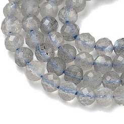 Природные лабрадорита бисер нитей&nbsp;G-B168-A09-4mm