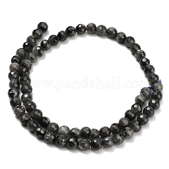 天然ラルビカイトビーズ連売り  多面カット  ラウンド  6mm  穴：0.9mm  約63~64個/連  15.16~15.28''（38.5~38.8センチメートル）&nbsp;G-C280-B06-6mm