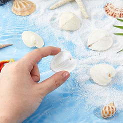 6 шт. натуральные бусины из ракушек SHEL-MA0001-01