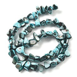 Окрашенные нити натуральных бусин-ракушек трохуса BSHE-Z006-01E