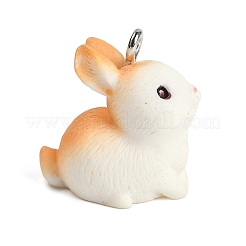 Милые подвески из непрозрачной смолы RESI-R458-05F