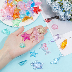 50шт 5 стиля прозрачные акриловые бусины OACR-PH0004-20