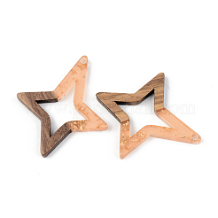 Подвески из прозрачной смолы и ореха&nbsp;RESI-S389-020A-B04